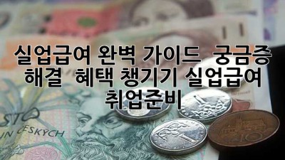 실업급여 완벽 가이드 💖 궁금증 해결 & 혜택 챙기기! #실업급여 #취업준비