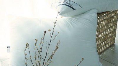 에이스네오필베개: 꿀잠의 비밀, 내돈내산 후기와 쇼핑 팁 대방출!